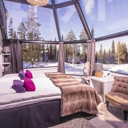 Santa's Aurora & Igloos