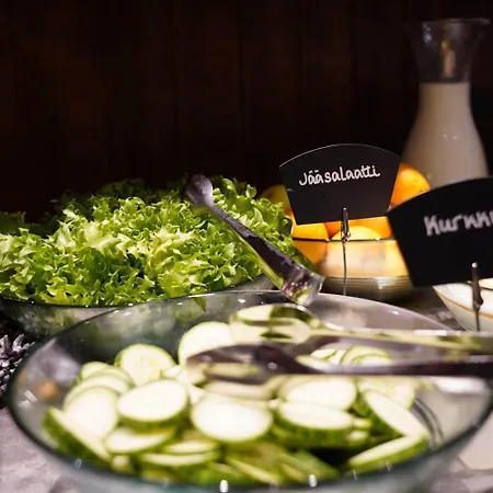 فندق Santa's Aurora & Igloos 4*