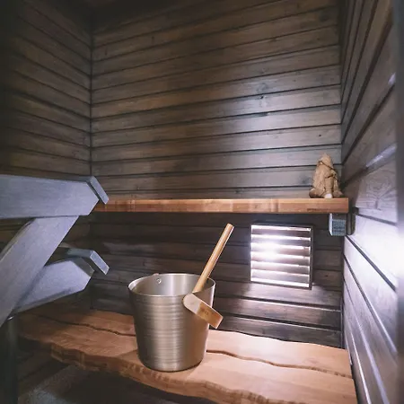 Otel Santa's Aurora & Igloos Luosto