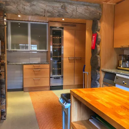 Santa's Aurora & Igloos