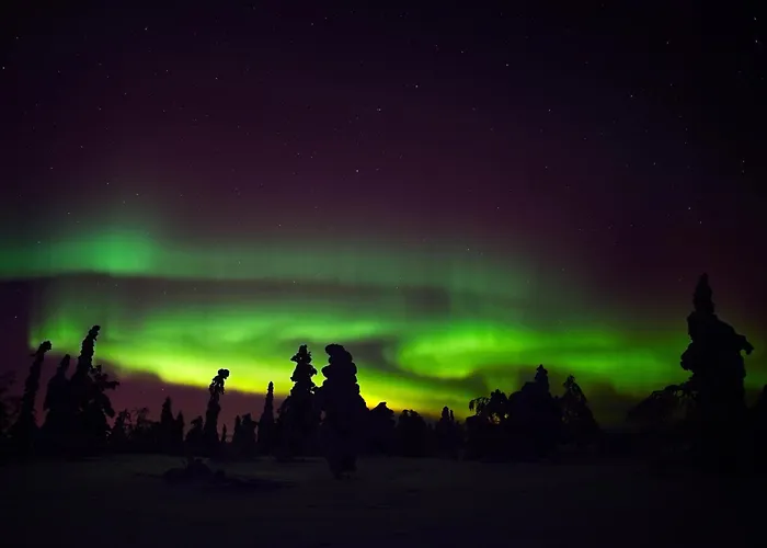 Hotell Santa's Aurora & Igloos