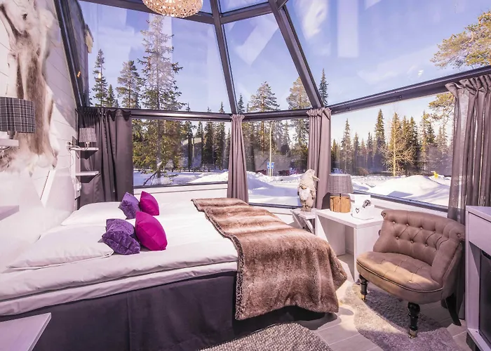 Santa's Aurora & Igloos