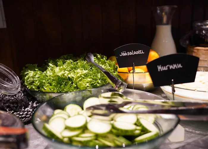 Hotell Santa's Aurora & Igloos 4*