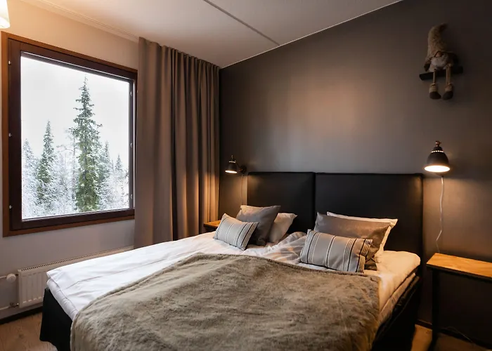 Santa's Aurora & Igloos Hotell Luosto